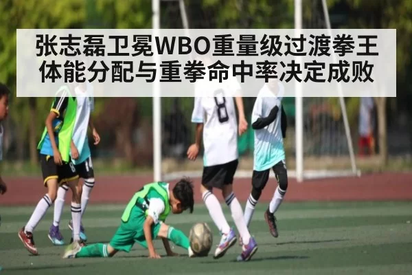 张志磊卫冕WBO重量级过渡拳王 体能分配与重拳命中率决定成败